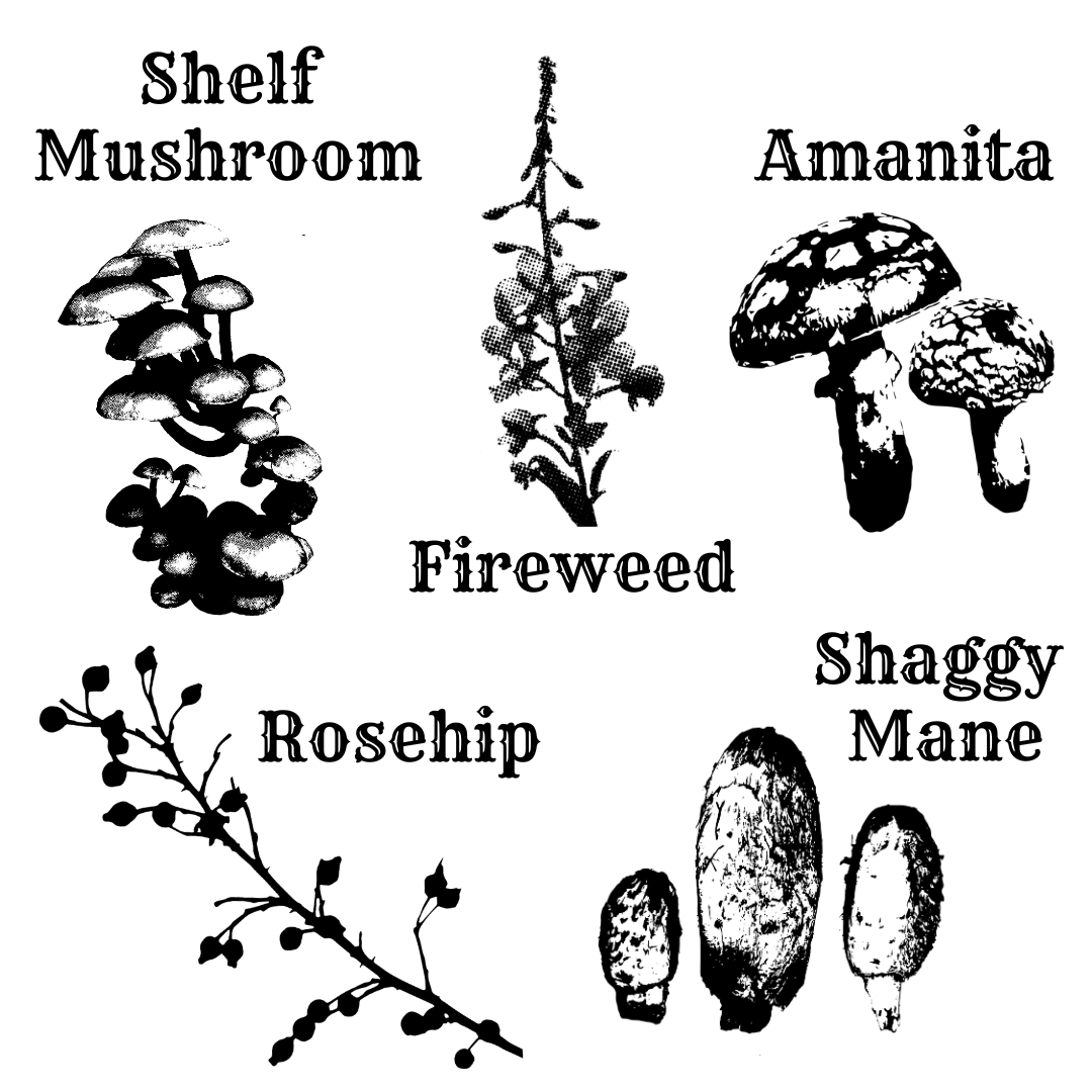 Shortie Mushroom/Floral Mug **Presale**